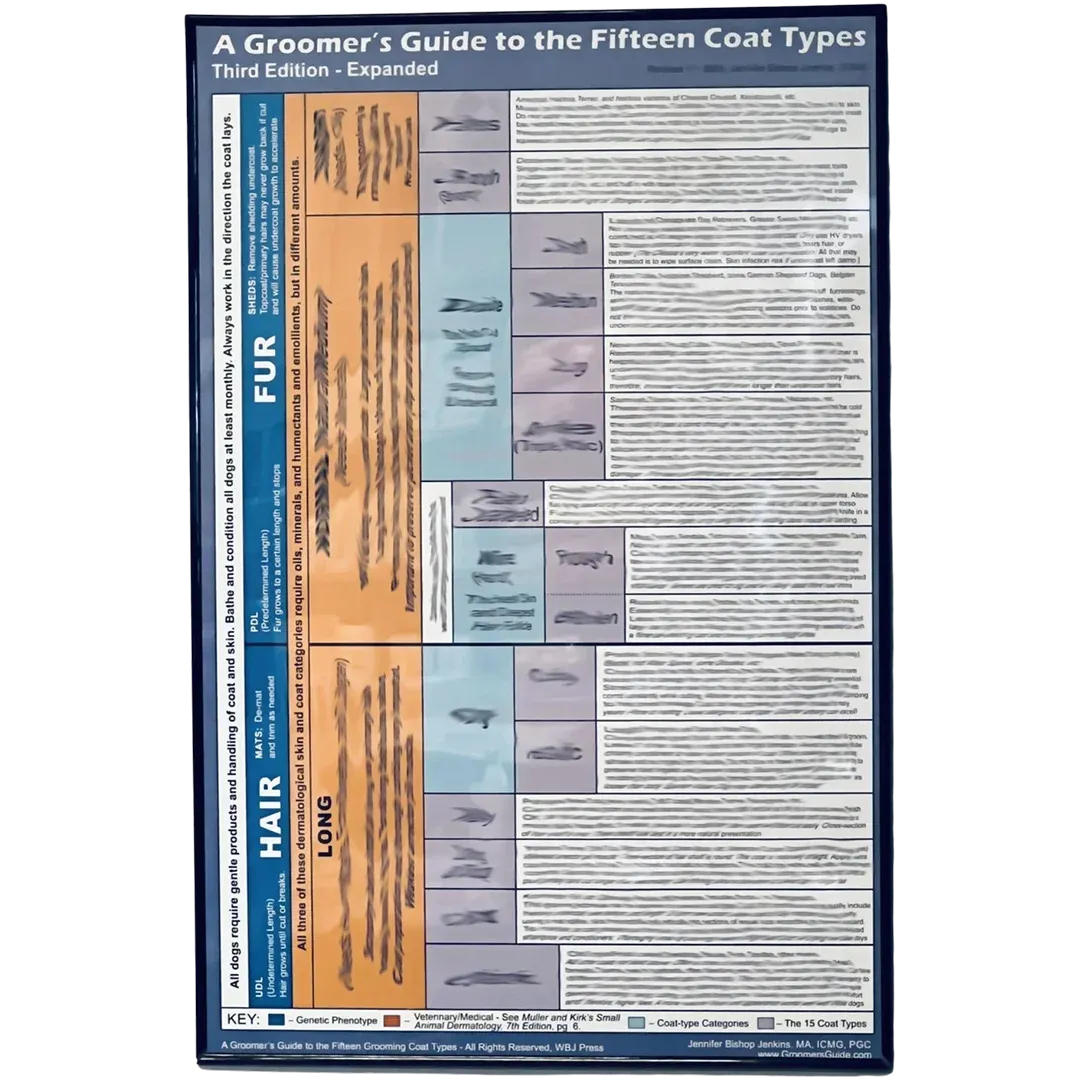 15 Coat Types Poster 24"x36" by Jennifer Bishop Jenkins