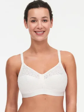 Talc Norah Wireless Bra